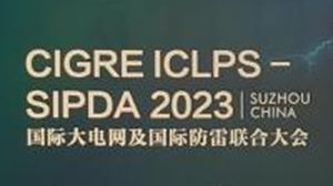 天瑞電子公司參加國際大電網(wǎng)及國際防雷聯(lián)合大會(huì)